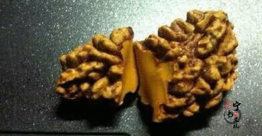 你手中的金刚菩提是真的吗?看金刚菩提真假鉴别