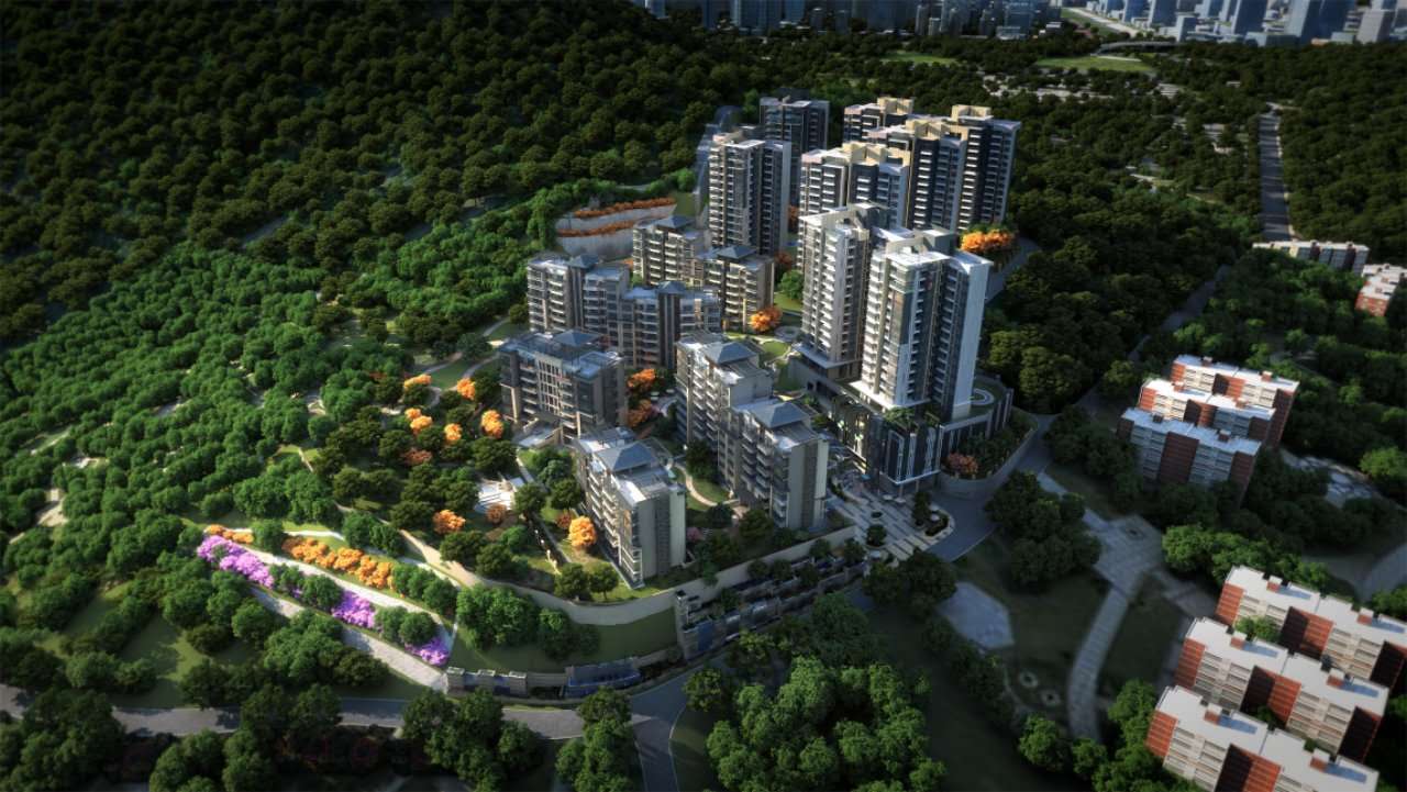 蛇口赤湾前海串联,蛇口赤湾前海辰湾