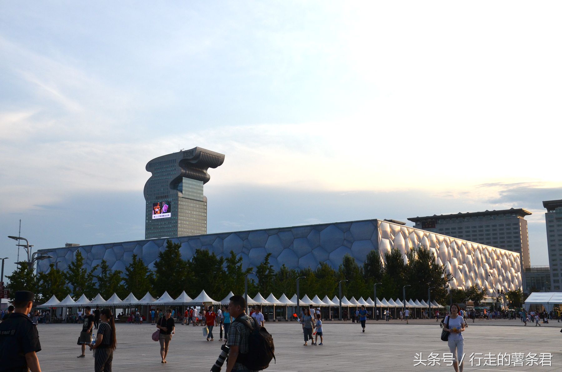 鸟巢体育馆上的鸟窝多高,北京鸟窝属于什么鸟巢