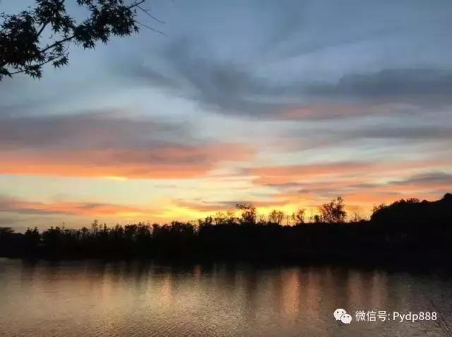 惊!翻倍牛股竟然具有这个相同点!