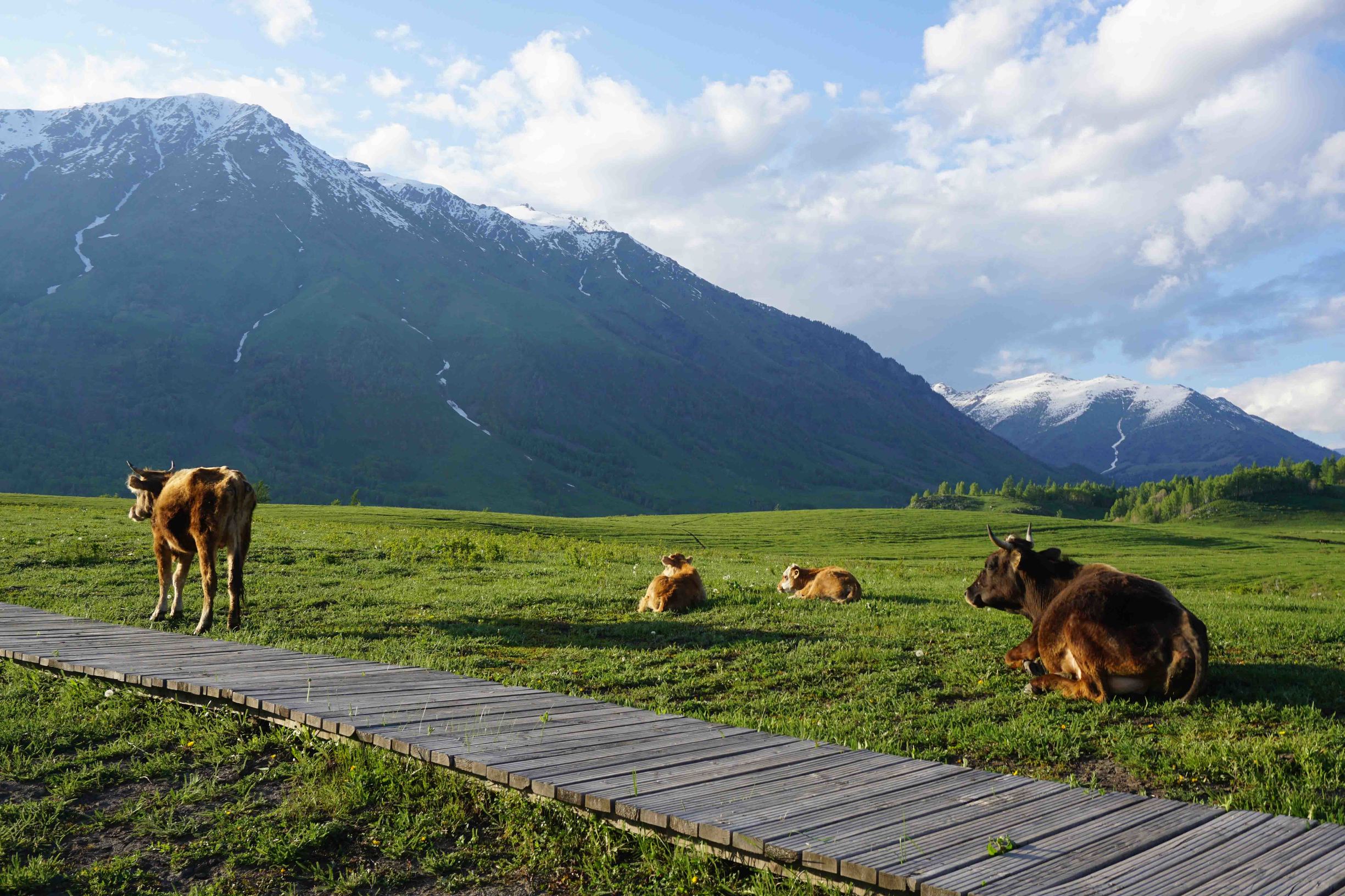 小微单入门,索尼a5100和佳能m10对比