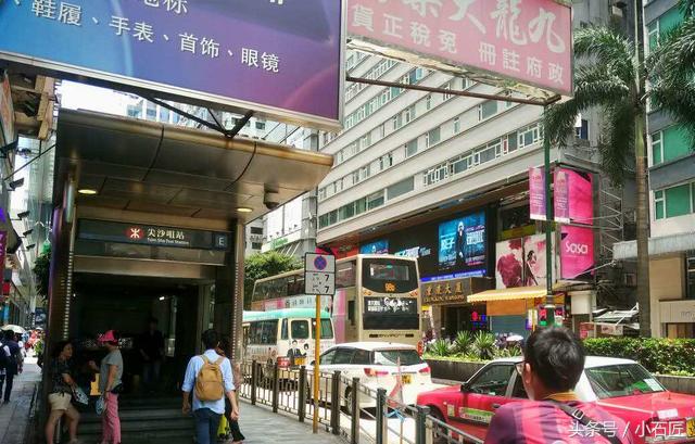 长隆野生动物园在哪,长隆野生动物园表演