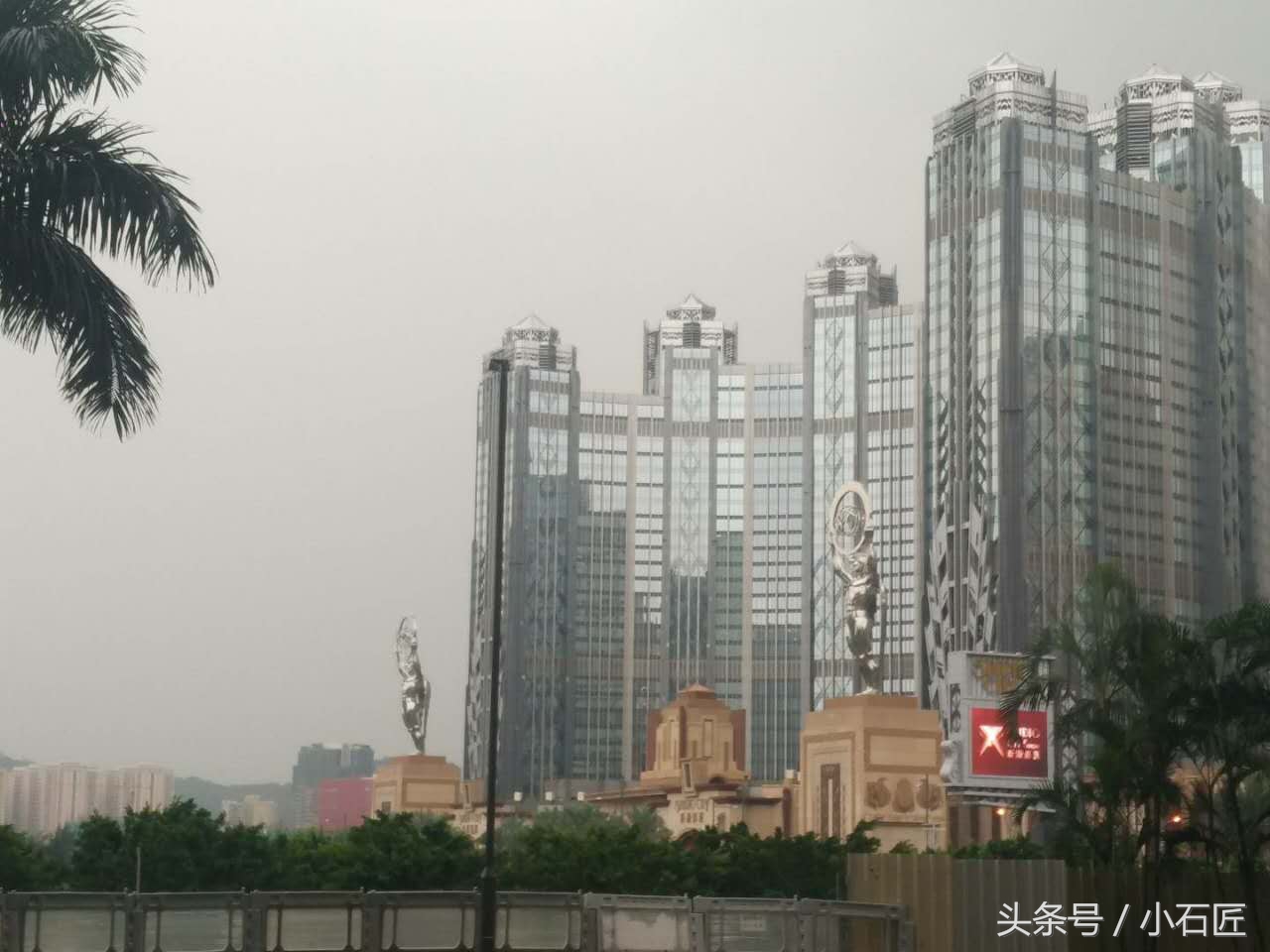 长隆野生动物园在哪,长隆野生动物园表演