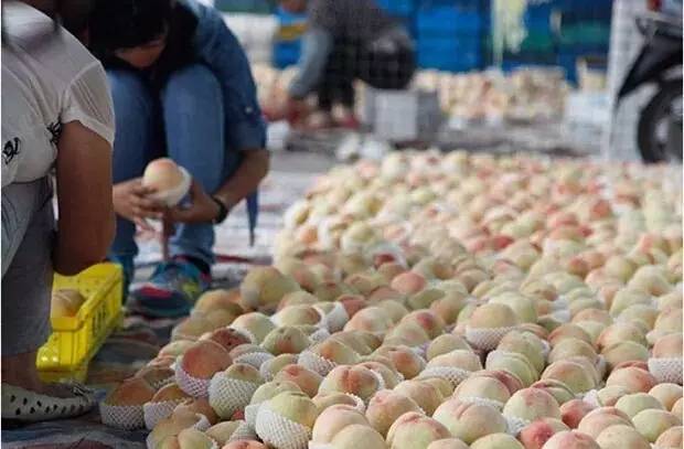 不是天生黑的被晒黑的怎么变白,不是天生黄皮怎样美白