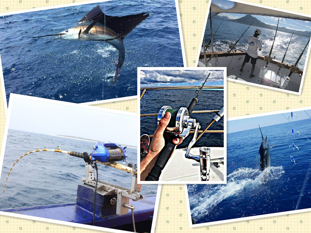 帕劳有什么玩的,帕劳出行攻略