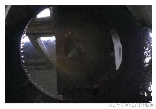 红烧鲶鱼鱼块的做法大全,剁椒鱼头红烧鲶鱼的做法