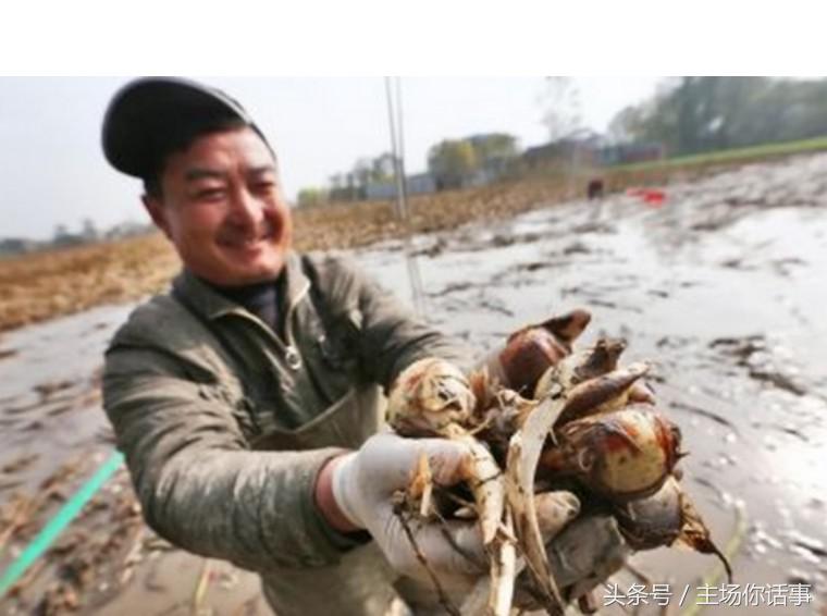 这一站才是｜大石（第一期）