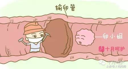 备孕需要注意这8件事,备孕期间怎么做对未来宝宝有影响