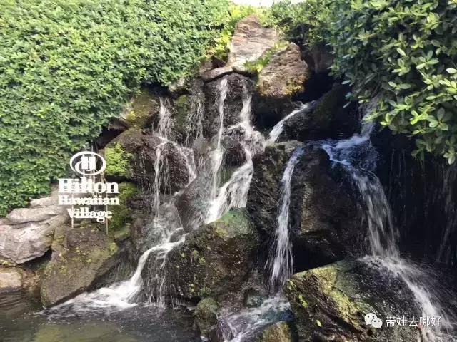 夏威夷大岛带孩子旅游攻略,带娃去夏威夷旅游攻略住宿