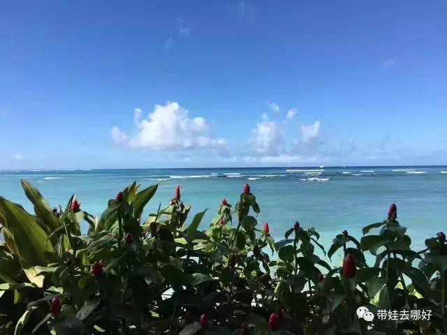 夏威夷大岛带孩子旅游攻略,带娃去夏威夷旅游攻略住宿