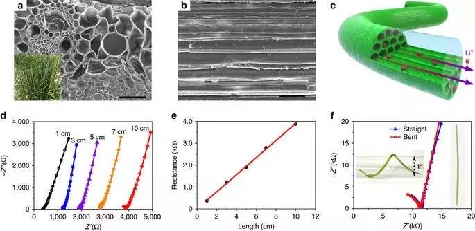 新型电池钠离子电池,世界首款核电池