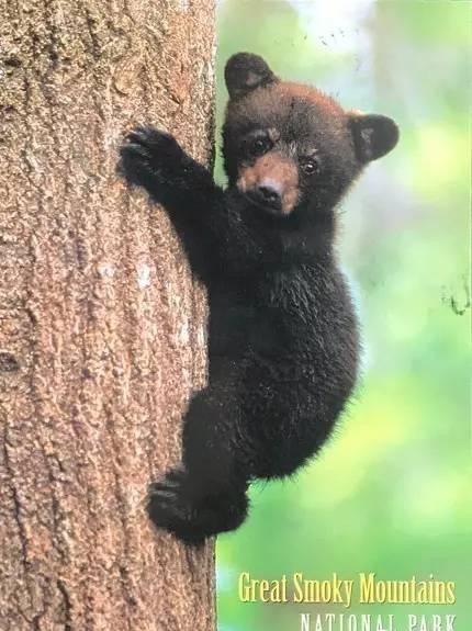 美国美景明信片,关于各个国家风景的明信片