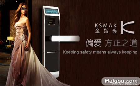 密码指纹锁十大排行榜,十大指纹锁排行榜前十名