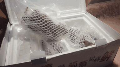 不是天生黑的被晒黑的怎么变白,不是天生黄皮怎样美白