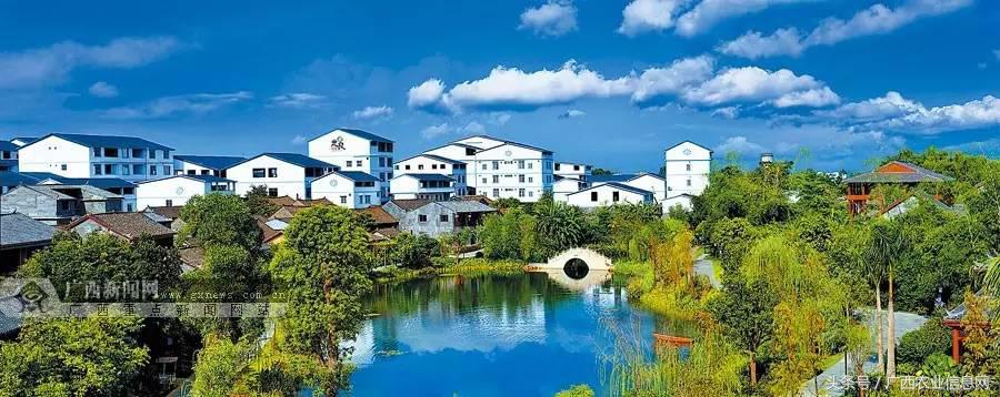 暑假去哪里旅游好进广西,暑假去哪里玩好玩又便宜广西