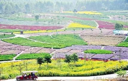 暑假去哪里旅游好进广西,暑假去哪里玩好玩又便宜广西