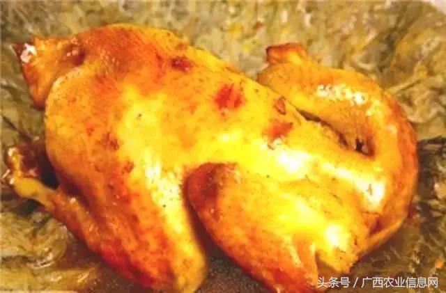 暑假去哪里旅游好进广西,暑假去哪里玩好玩又便宜广西