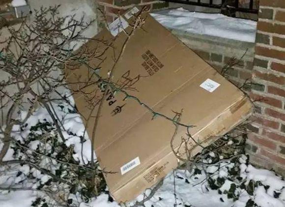 京东停用天天快递事件,京东天天快递现状