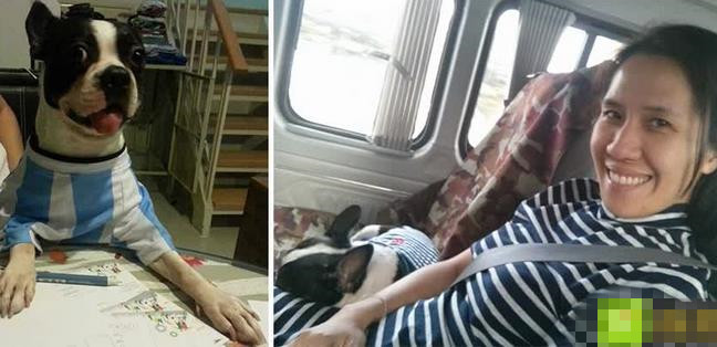 狗狗腿被车压骨头弯了怎么办,狗狗腿被车压了特别肿