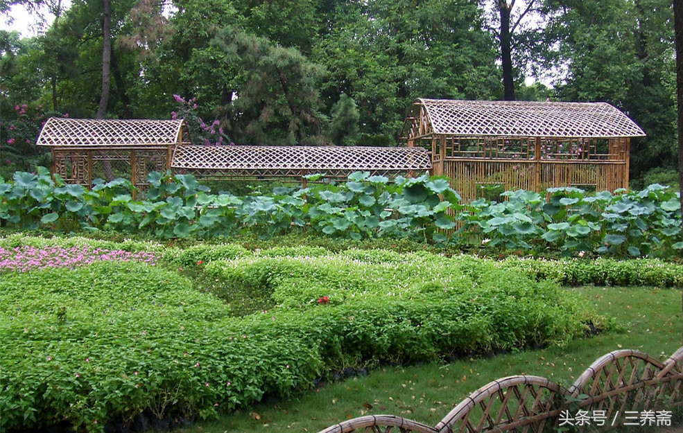 王维描写山水田园派的诗句,王维的山水田园诗摘抄