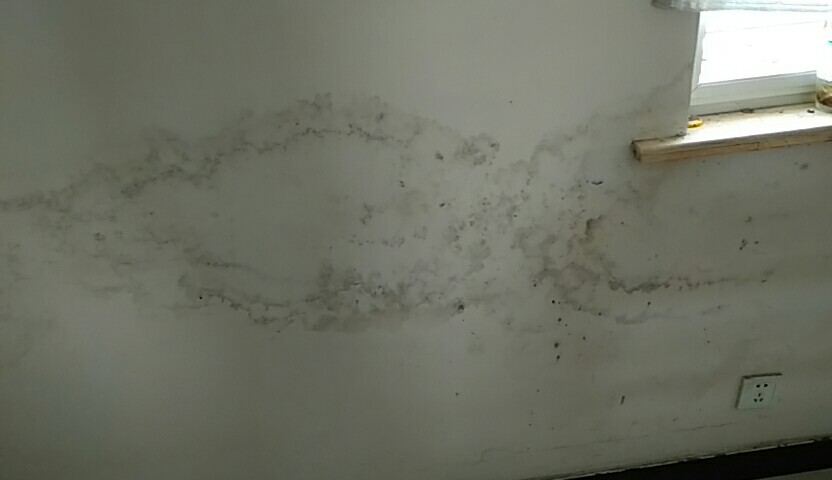 有什么办法可以把房子弄烂,墙发霉起皮返潮怎么办