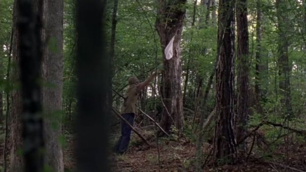 行尸走肉第八季,行尸走肉第八季讲解一口气看完