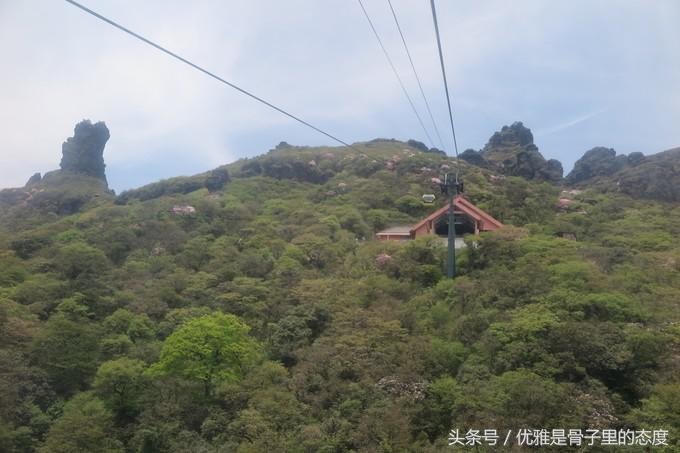 梵净山奇幻之旅,梵净山最美一日游