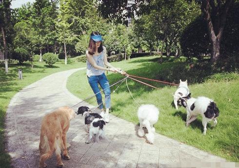 50个最火的大学生创业小项目,不起眼的10个创业项目