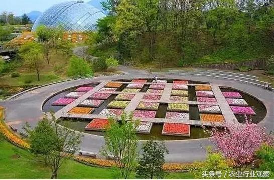 日本农业靠什么赚钱,日本农业经营模式