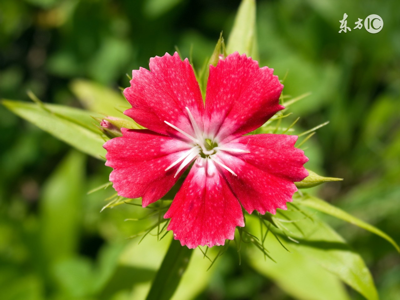 sothat和suchthat有什么区别吗,sothat和suchthat的区别简单记