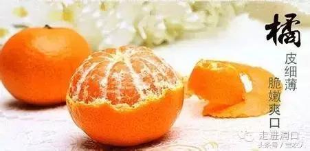 洞口当地的美食,洞口哪些好吃的