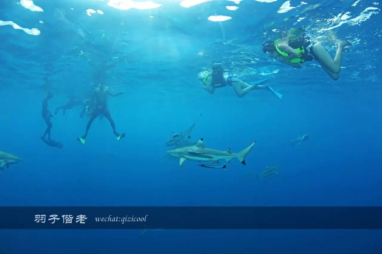 帕劳的旅游时长是多少,帕劳旅游找哪个旅行社