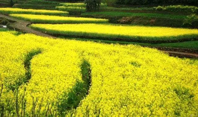 各个地方的特色美景美食,这些地方景色美食都不容错过