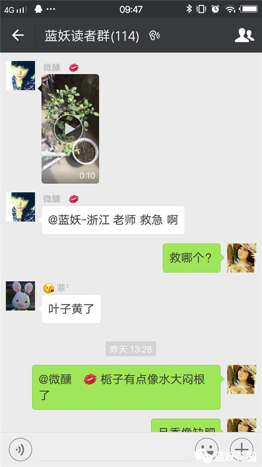 花一般是怎么养死的,养花新手必须知道的事