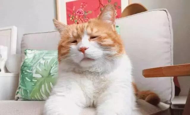 丧文化再度来袭,丧文化