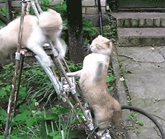 丧文化再度来袭,丧文化