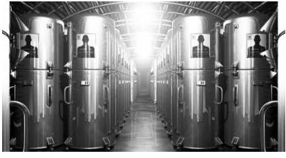 最新的环保葬法,世界上最无污染的处理遗体的方法