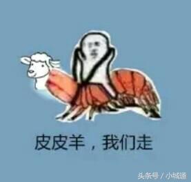 盘点网络上那些梗原版,网络上的那么多梗都是哪来的