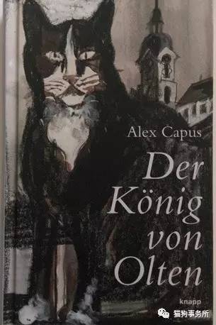 别了，图卢茨！瑞士第一猫