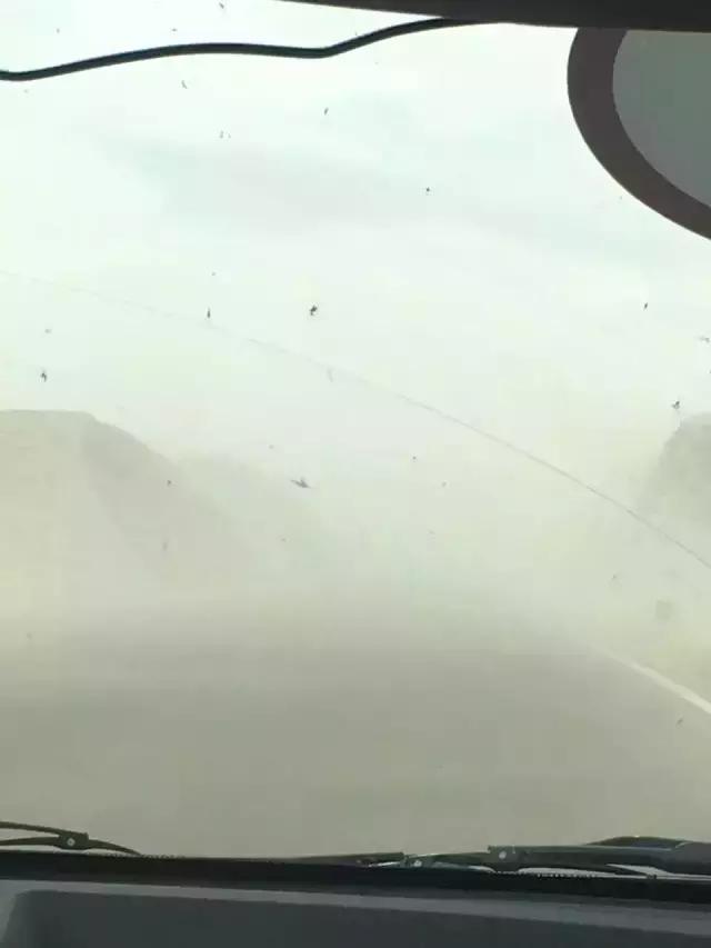 开车去非洲日记之九，去花土沟路上，遇到夺命的沙尘暴，遇到夺魂水上雅丹，小女子想问嫦娥姐姐你要不要面膜