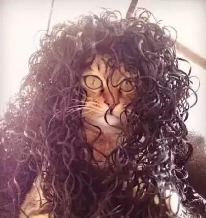 丧文化再度来袭,丧文化