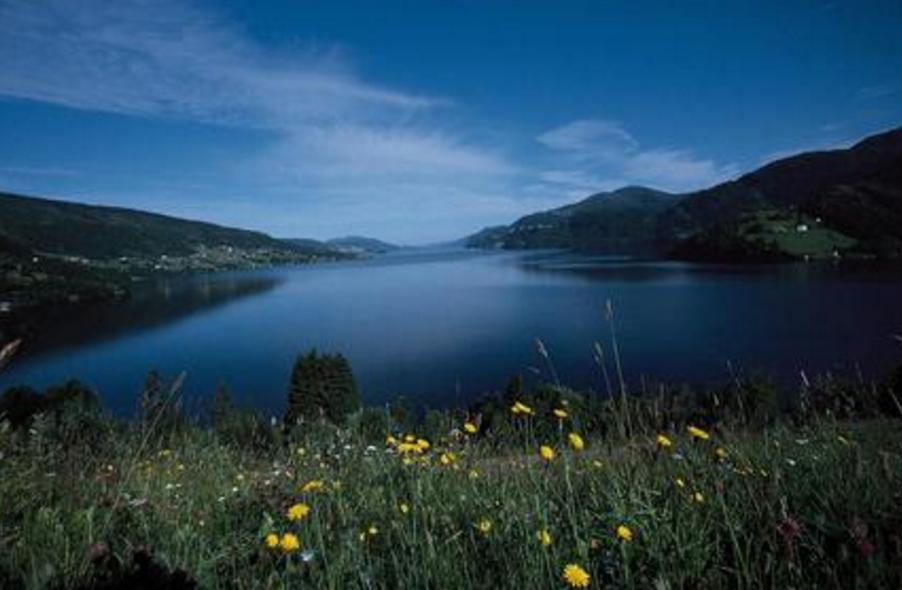 手上的活可以建立佛国，手可以引荐你见佛