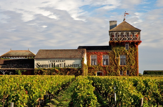 入门须知最常见的葡萄酒五大误区,一些你不知道的葡萄酒小知识