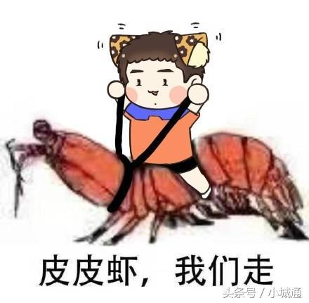 盘点网络上那些梗原版,网络上的那么多梗都是哪来的