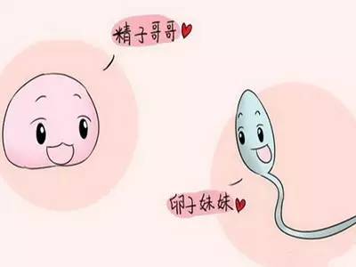 受孕没着床有多大几率不会怀上,原来备孕这么难