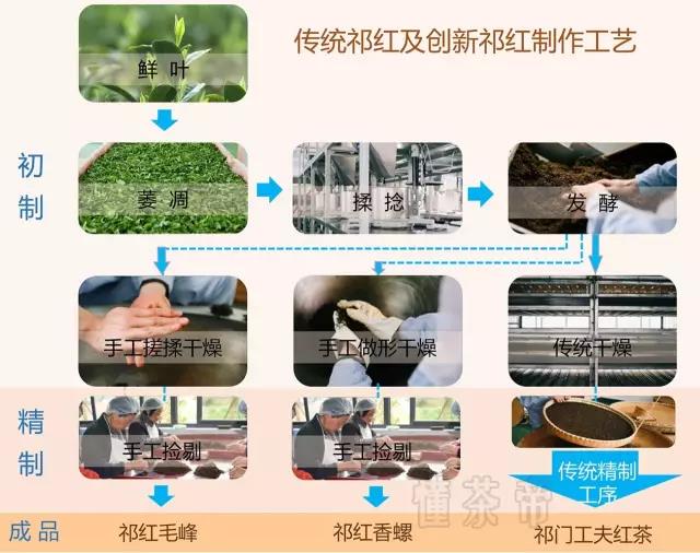 分不清三种祁红,别说你懂她!