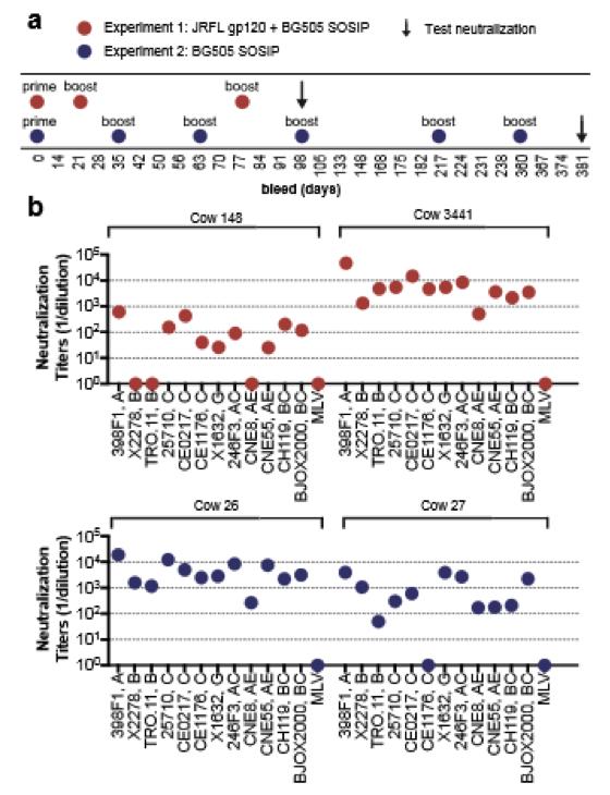 解析Nature重大突破！如何利用奶牛快速产生HIV通用型中和抗体