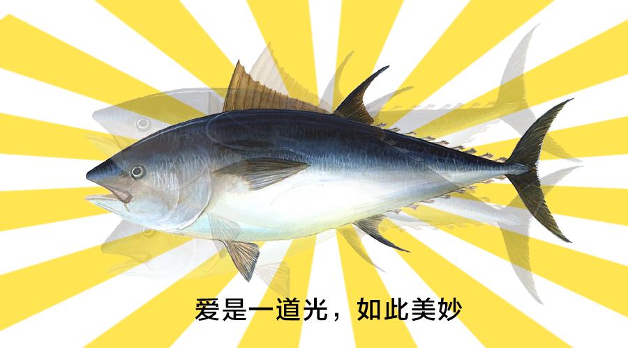 “葱洞五分钟”第3期——正品咸鱼与祖传大宝剑