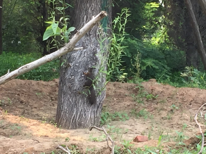 一场说走就走的环岛游,葫芦岛山海关自驾游