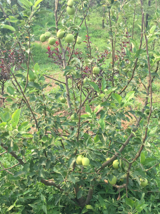 一场说走就走的环岛游,葫芦岛山海关自驾游